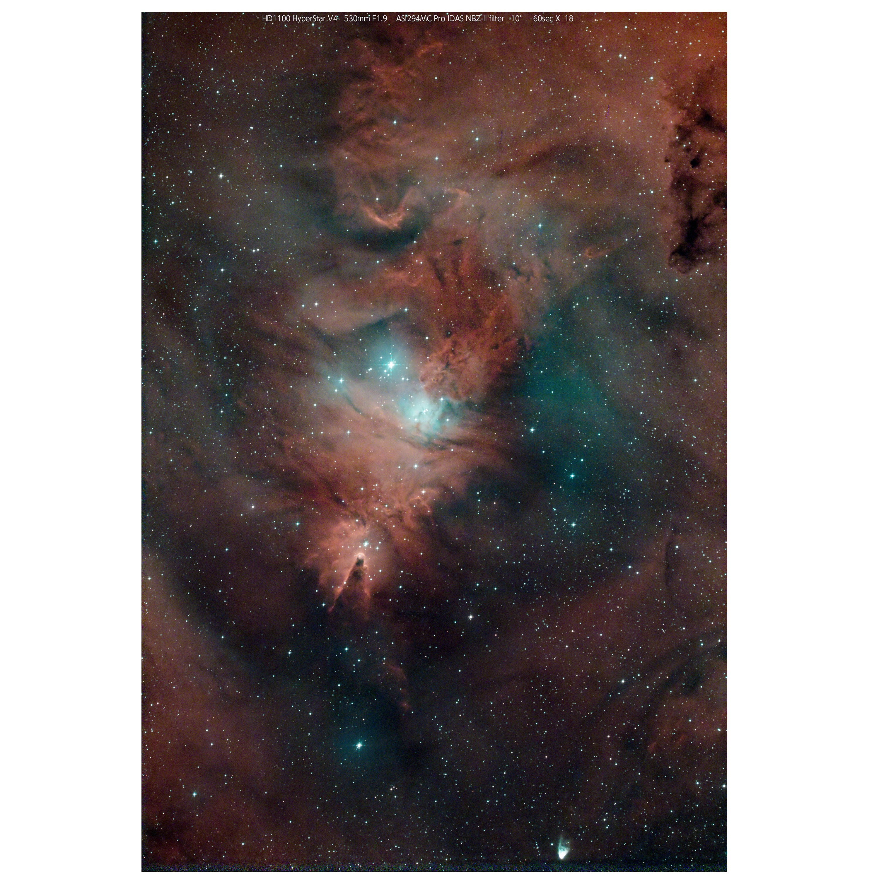 Cone Nebula